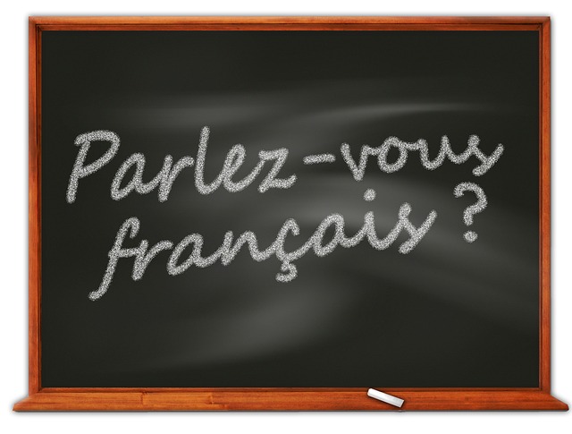 A francia nyelvet kötelezővé tevő Villers-Cotterêts-rendelet, mely 500 éve hatályos